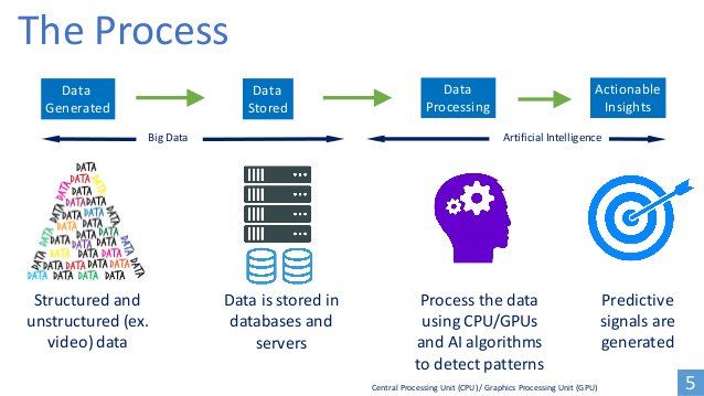 AI learning process visualizations