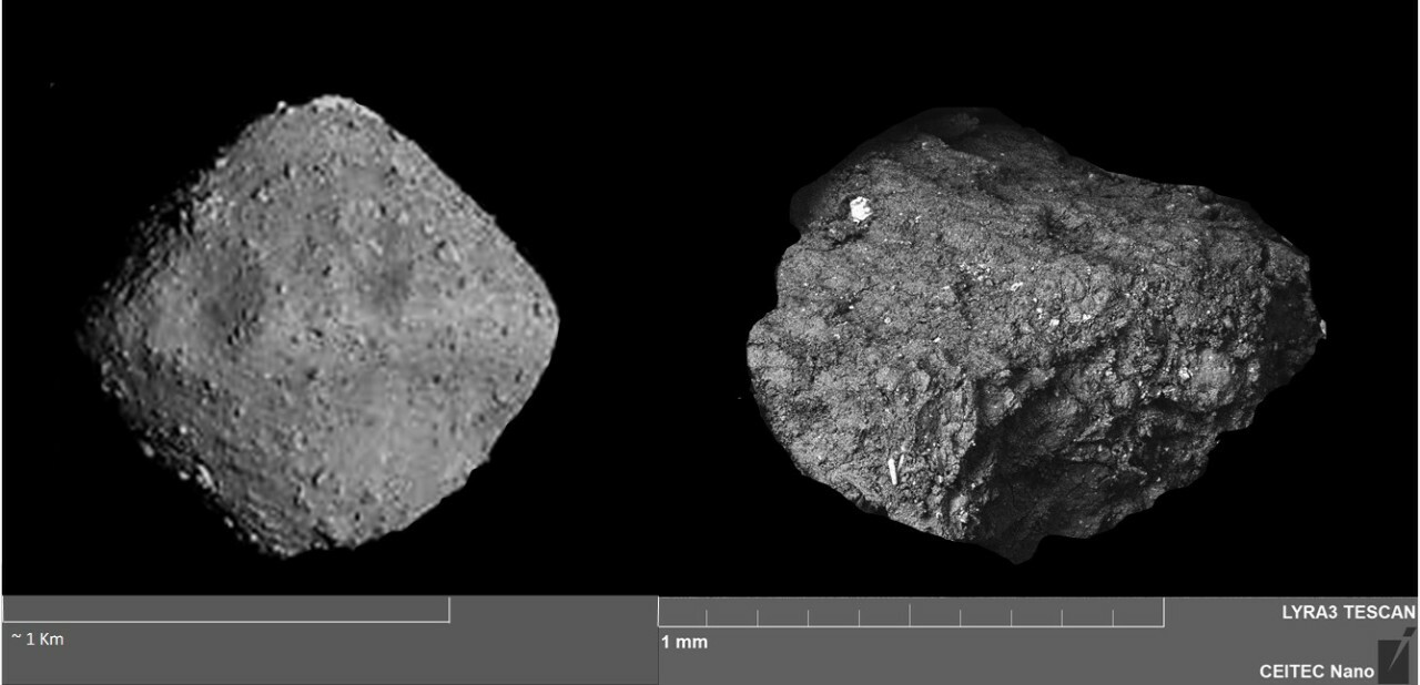 visualization of asteroid impact delivering organic materials to a young Earth